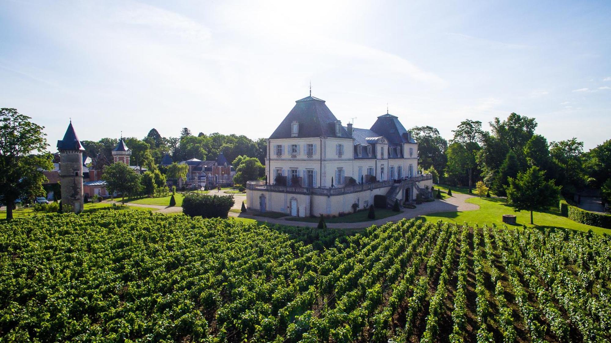 Chateau & Spa De La Cueillette Meursault Eksteriør billede